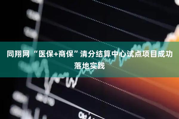 同翔网 “医保+商保”清分结算中心试点项目成功落地实践
