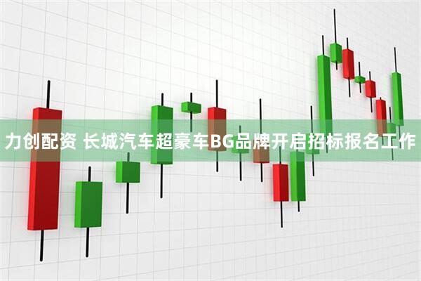 力创配资 长城汽车超豪车BG品牌开启招标报名工作