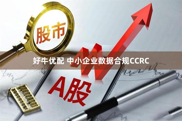 好牛优配 中小企业数据合规CCRC