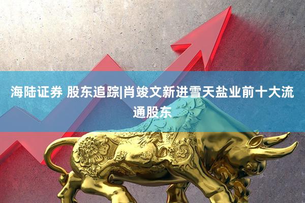 海陆证券 股东追踪|肖竣文新进雪天盐业前十大流通股东